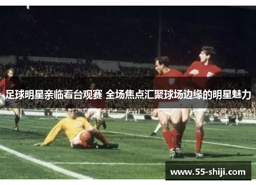 足球明星亲临看台观赛 全场焦点汇聚球场边缘的明星魅力